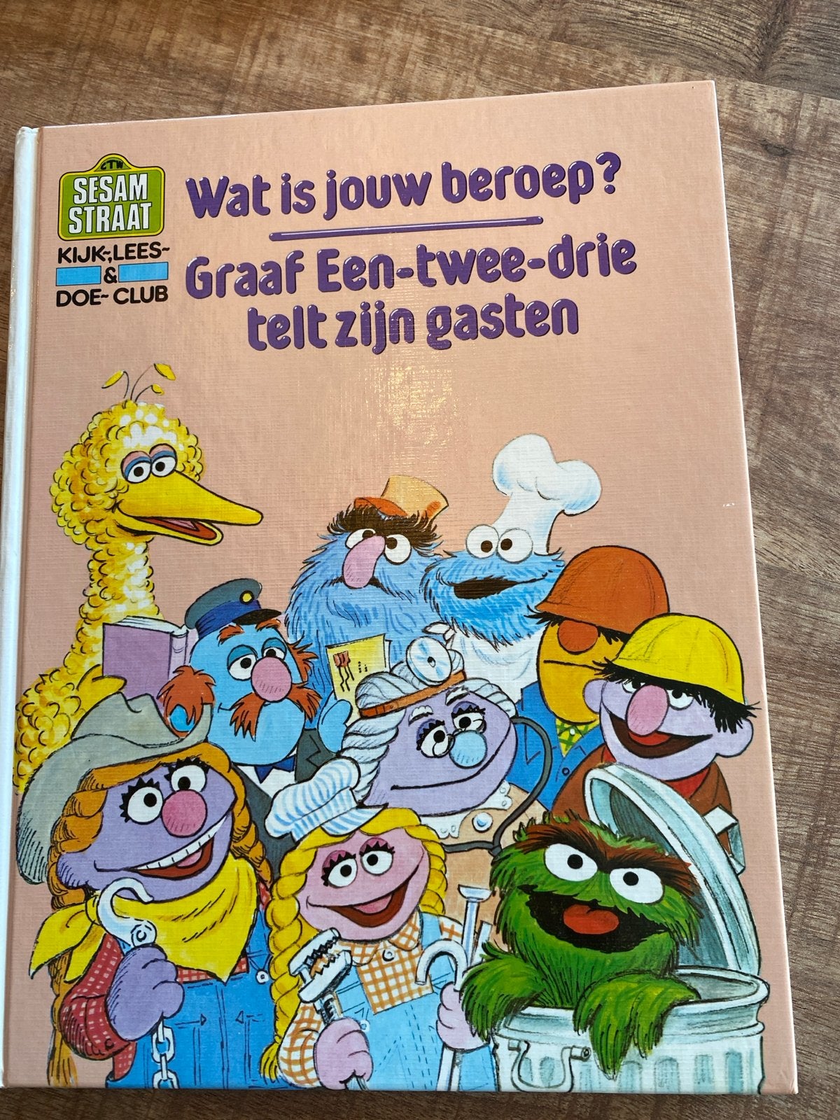 Sesamstraat: Wat is jouw beroep? Graaf Een-twee-drie, Ophalen of Verzenden, Gelezen, Fictie algemeen