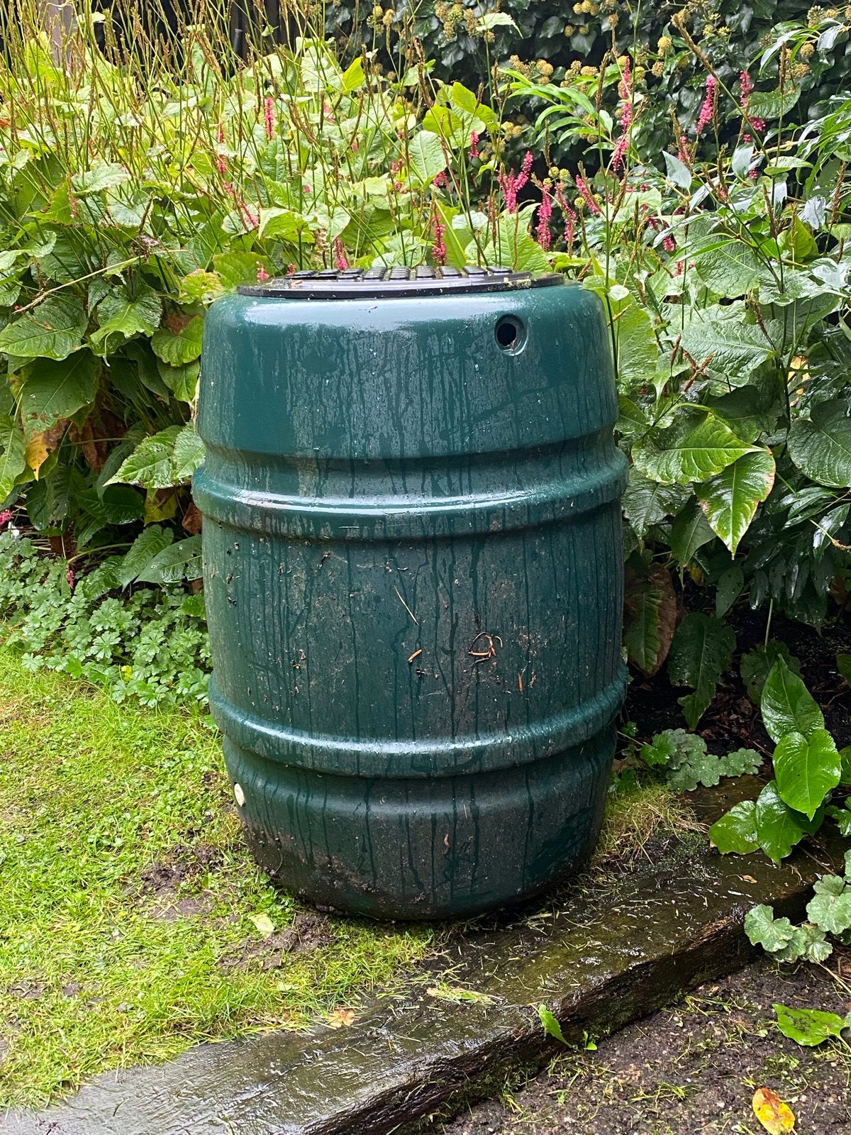Groene regenton - 200 liter, Tuin en Terras, 150 liter of meer, Ophalen, Gebruikt, Kunststof
