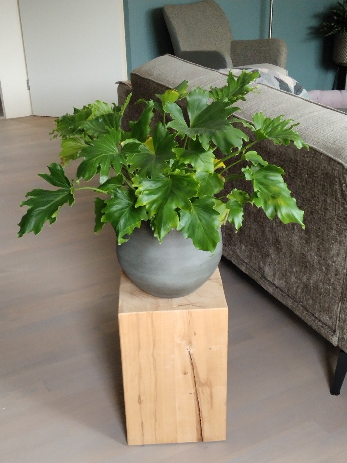 Planten/ decoratie massief blok/zuil, Ophalen, Zo goed als nieuw