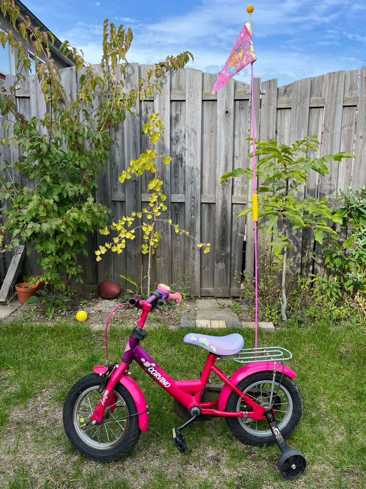 Roze fietsje met zijwieltjes, bel en vlag, Ophalen, Terugtraprem, Zijwieltjes, Gebruikt