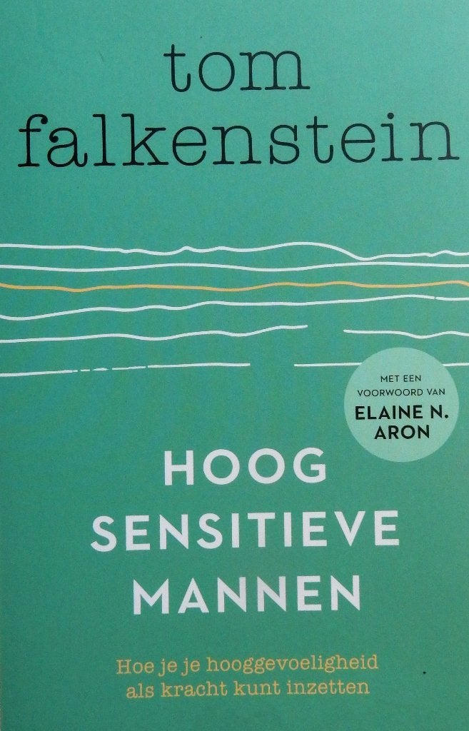 Hoog sensitieve mannen - Tom Falkenstein, Verzenden, Zo goed als nieuw, Levboeken