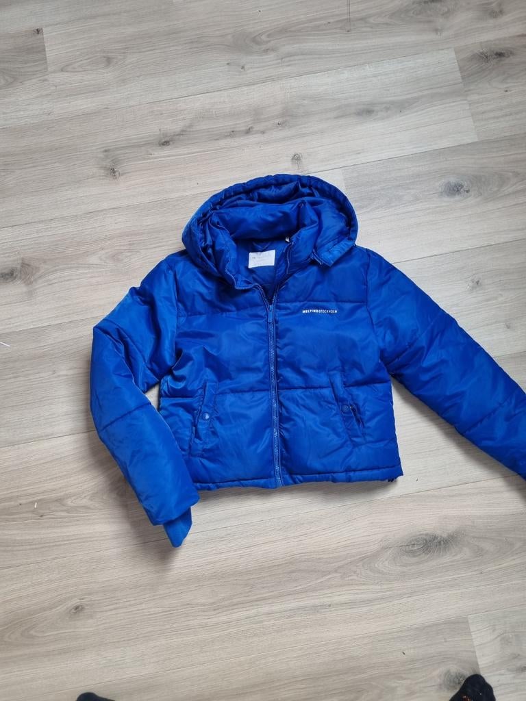Dames winterjas xs (sting), Ophalen of Verzenden, Zo goed als nieuw, Meisje, Jas