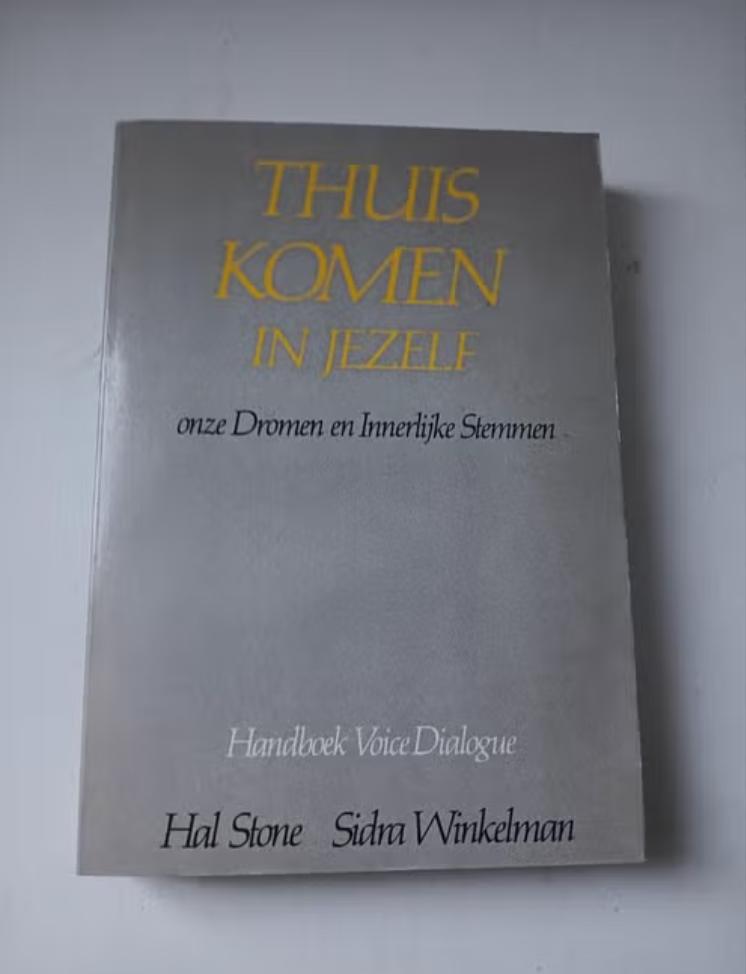Thuiskomen in jezelf - Hal en Sidra Stone, Boeken, Ophalen of Verzenden, Zo goed als nieuw