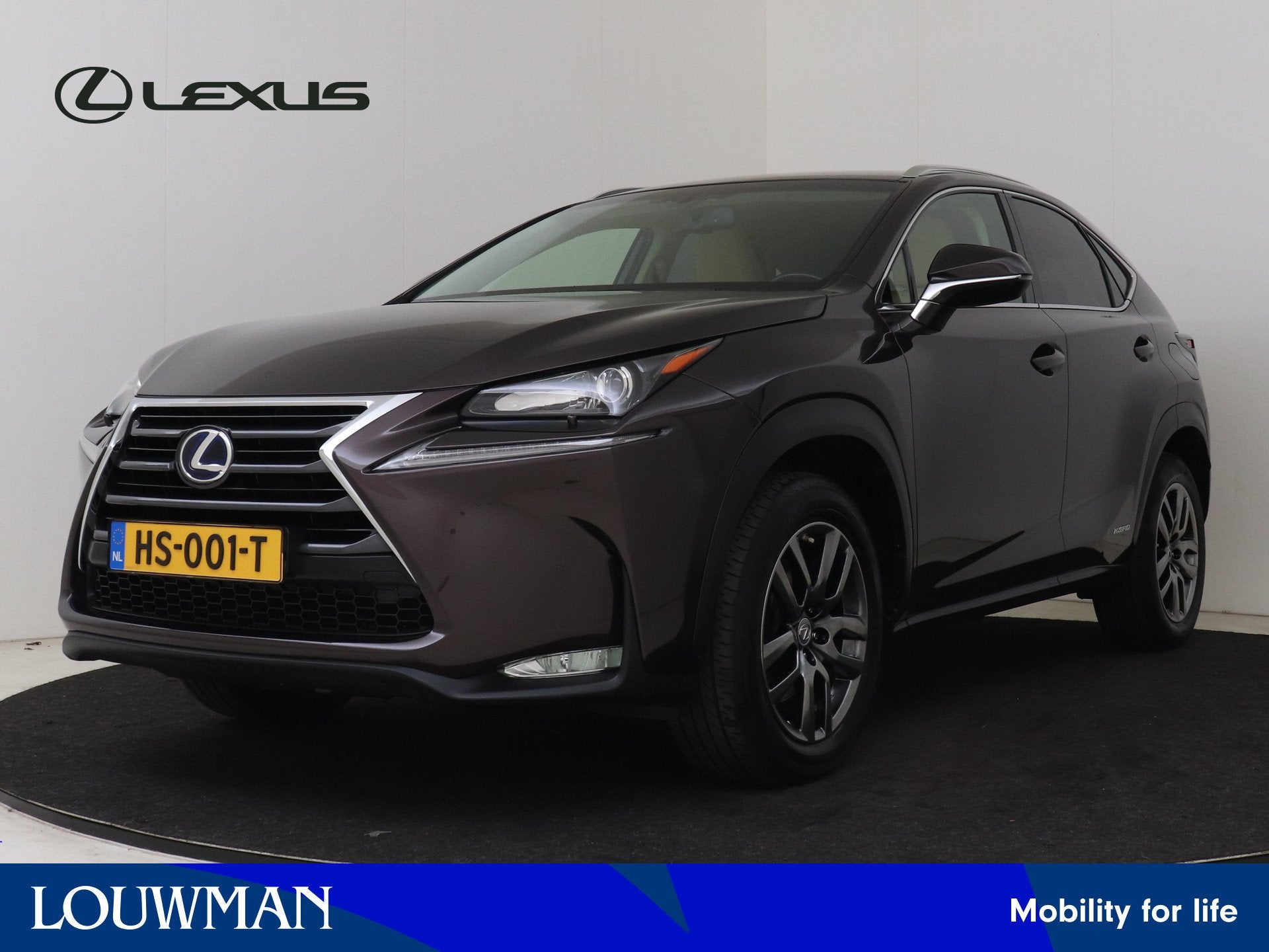 Lexus NX 300h AWD Luxury Line | Dealer Onderhouden | Stoelve