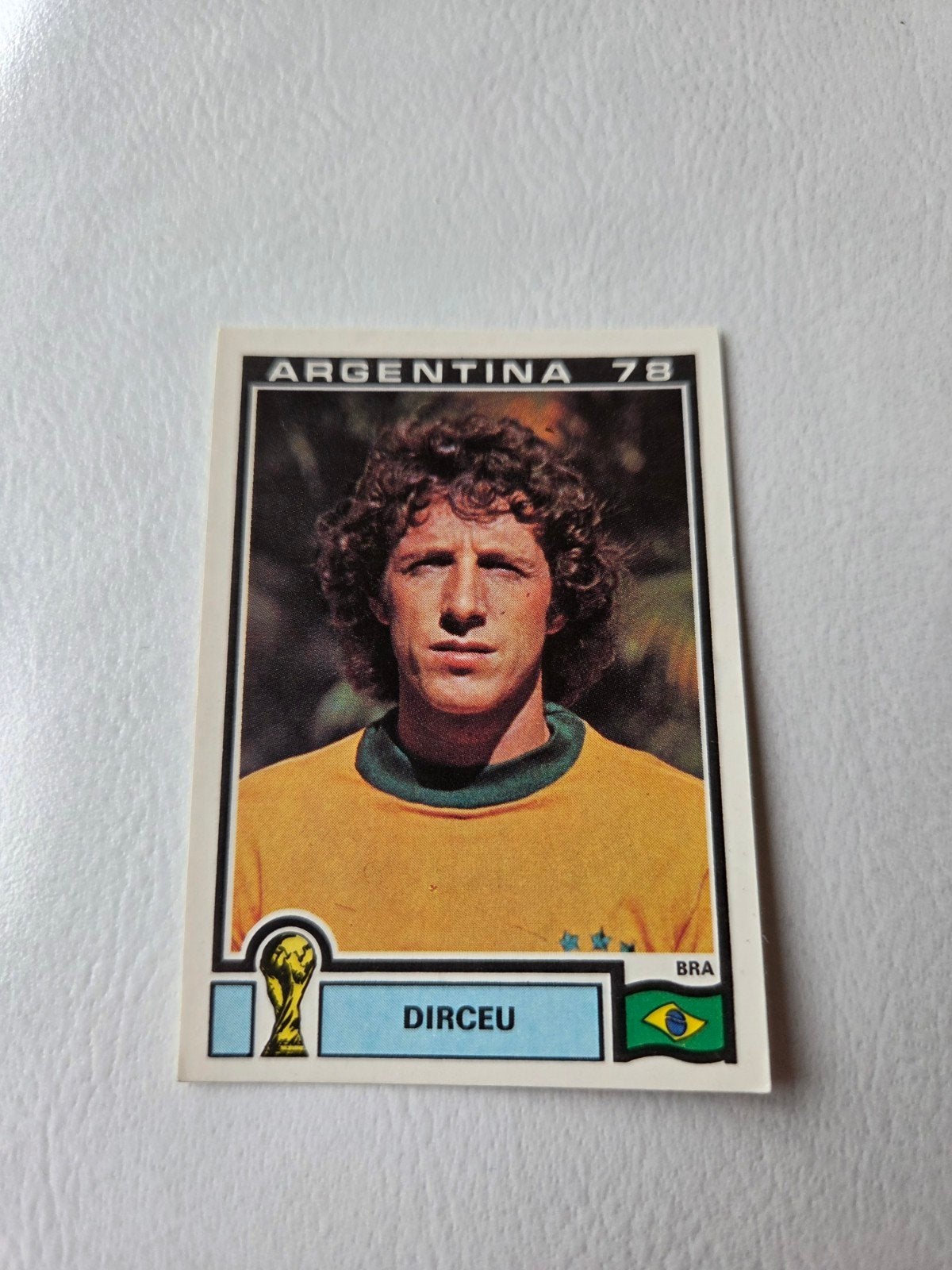 Panini WK 78, Verzamelen, Ophalen of Verzenden, Zo goed als nieuw, Buitenlandse clubs, Poster, Plaatje of Sticker