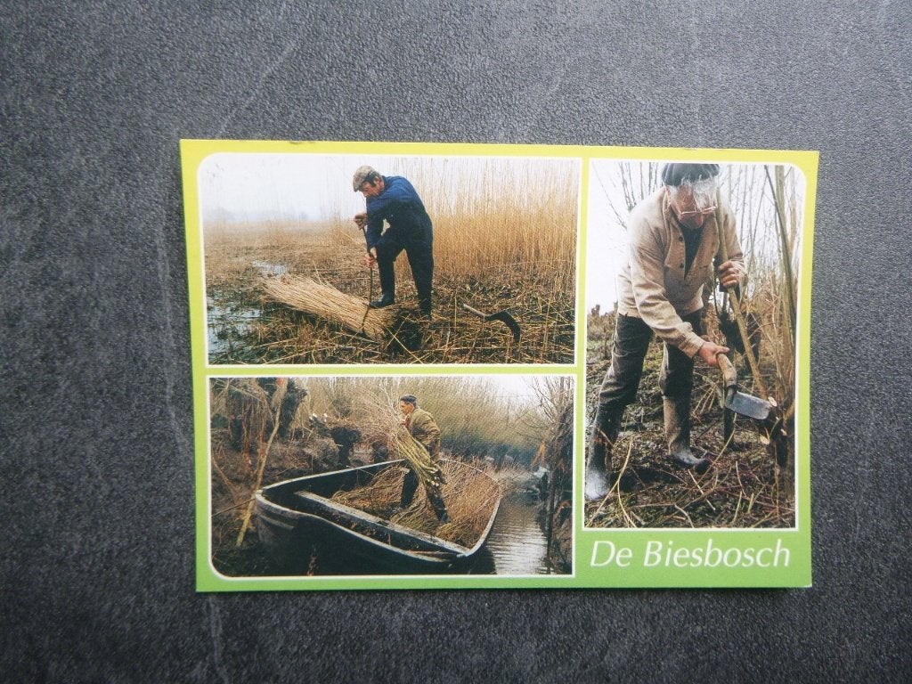 De Biesbosch, Verzenden, 1980 tot heden, Gelopen, Noord-Brabant