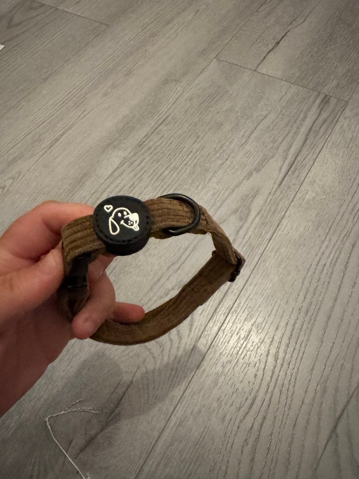 Honden halsband in het bruin, Ophalen of Verzenden, Nieuw
