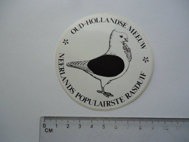 sticker oud DUIF Duiven duivensport Oud hollandse meeuw ras, Verzenden, Zo goed als nieuw, Bedrijf of Vereniging
