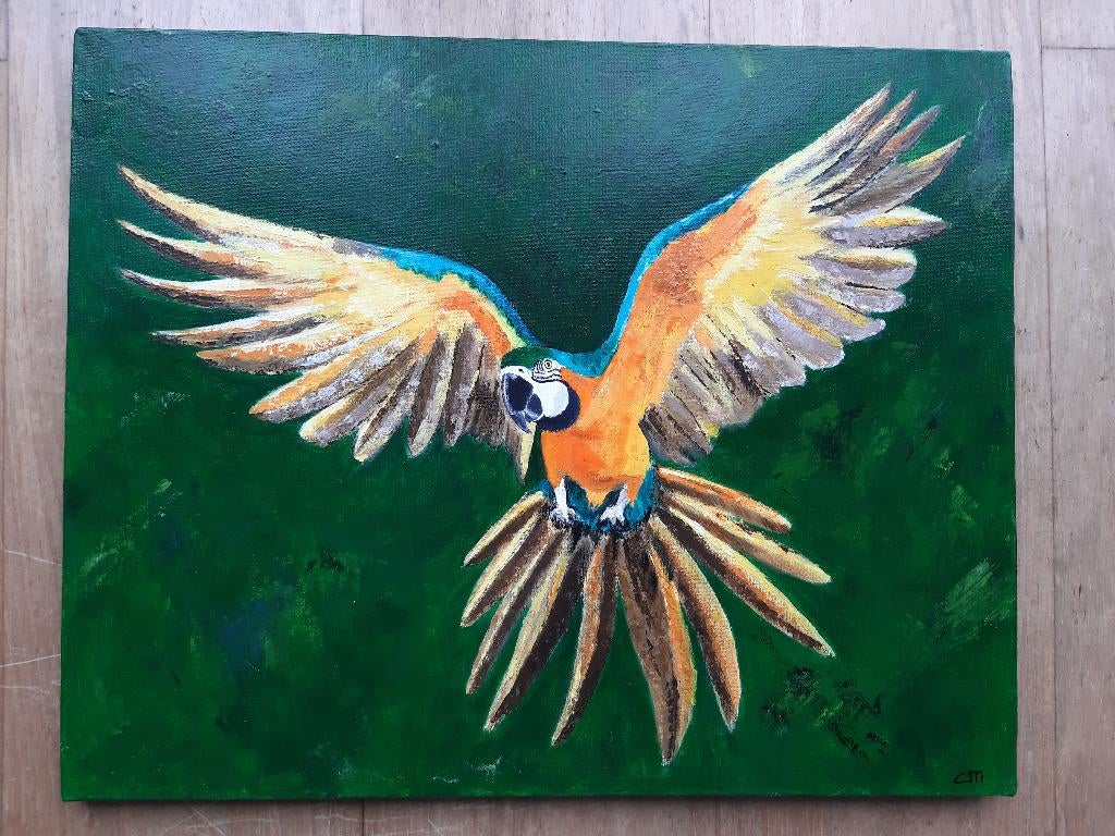 Schilderij Ara / Papegaai (50 x 40 cm.), Ophalen, Oorspronkelijke maker, Nieuw, Schilderij