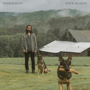 Noah Kahan  Stick season (2LP), 2020 tot heden, Ophalen of Verzenden, 12 inch, Inclusief poster