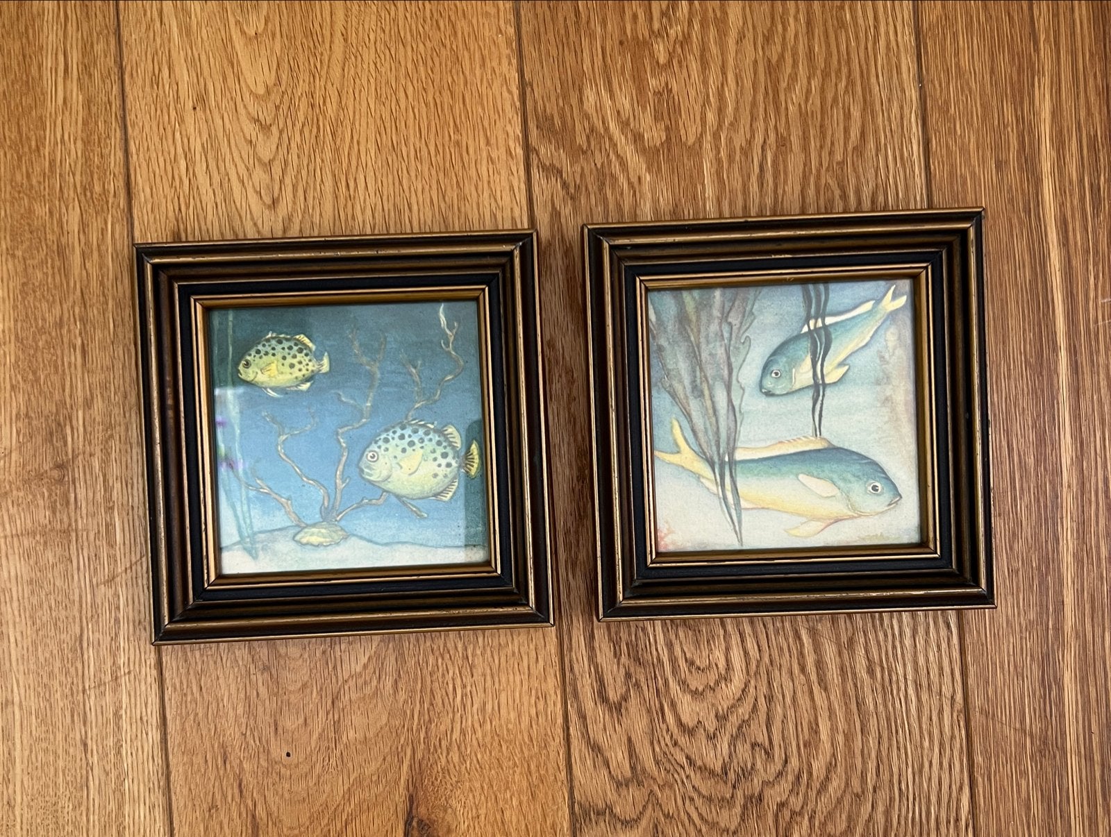 Set van 2 Vintage Art Deco Vis Prenten jaren '30, Ophalen of Verzenden