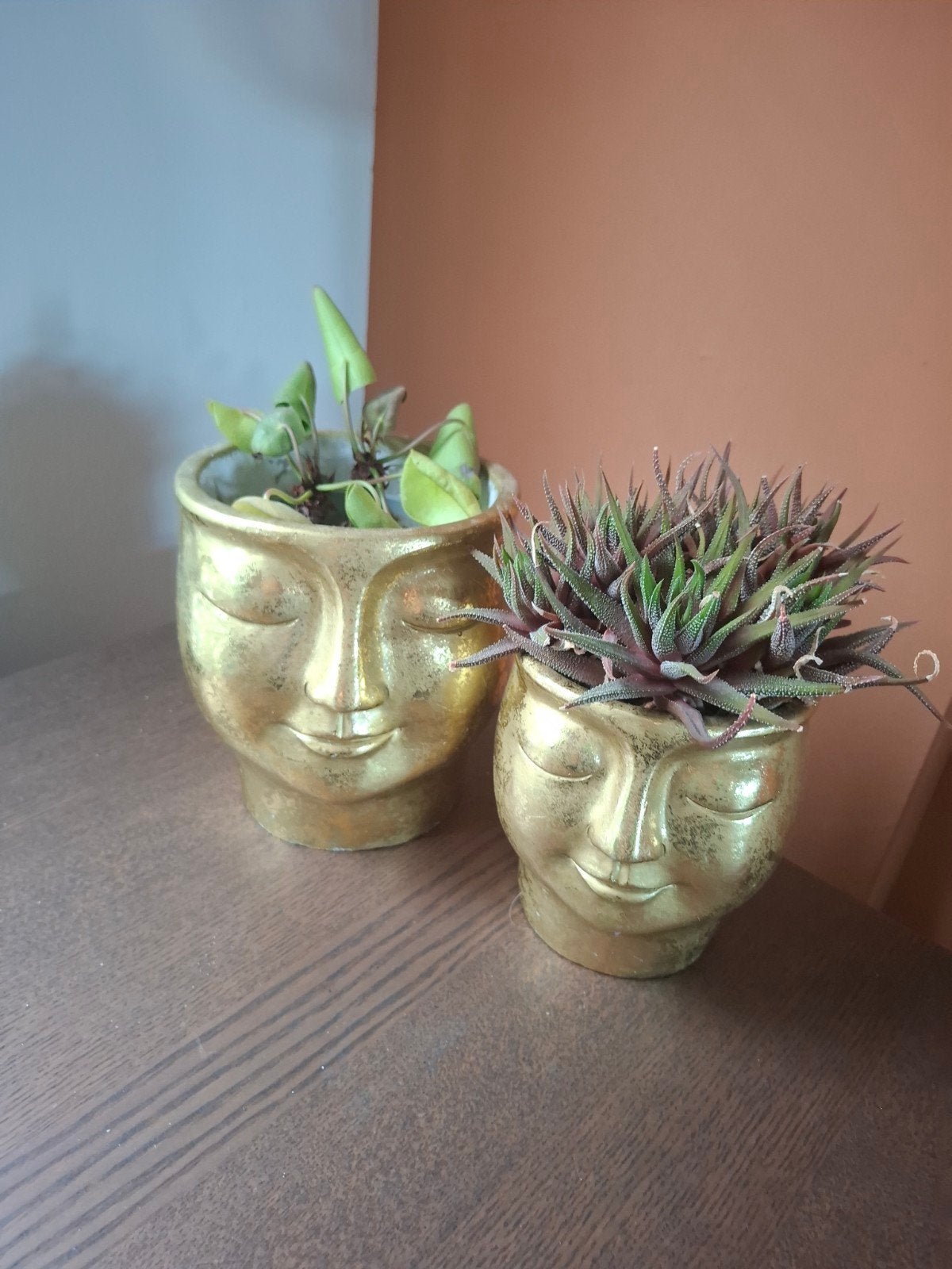 Bloempotten goud buddha hoofd, Tuin en Terras, Ophalen, Rond, Binnen, Zo goed als nieuw