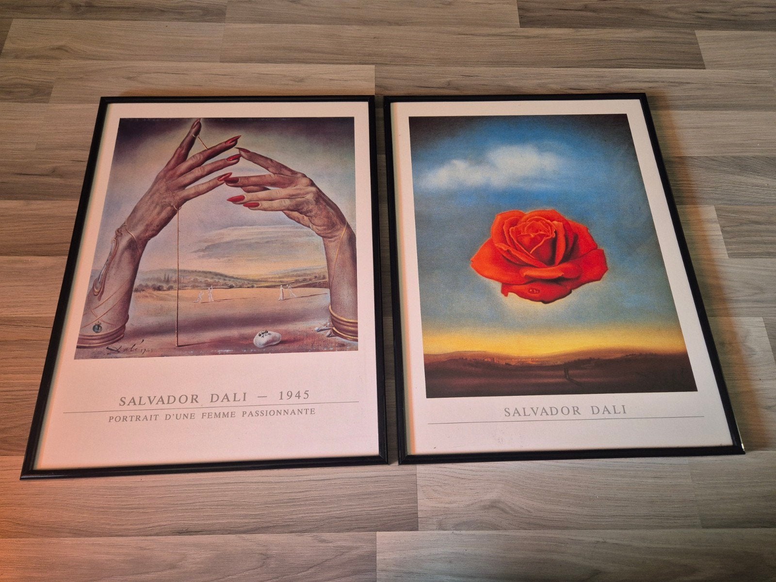Set van 2 Salvador Dalí posters met lijst, Met lijst, Ophalen of Verzenden, A1 t/m A3, Overige onderwerpen
