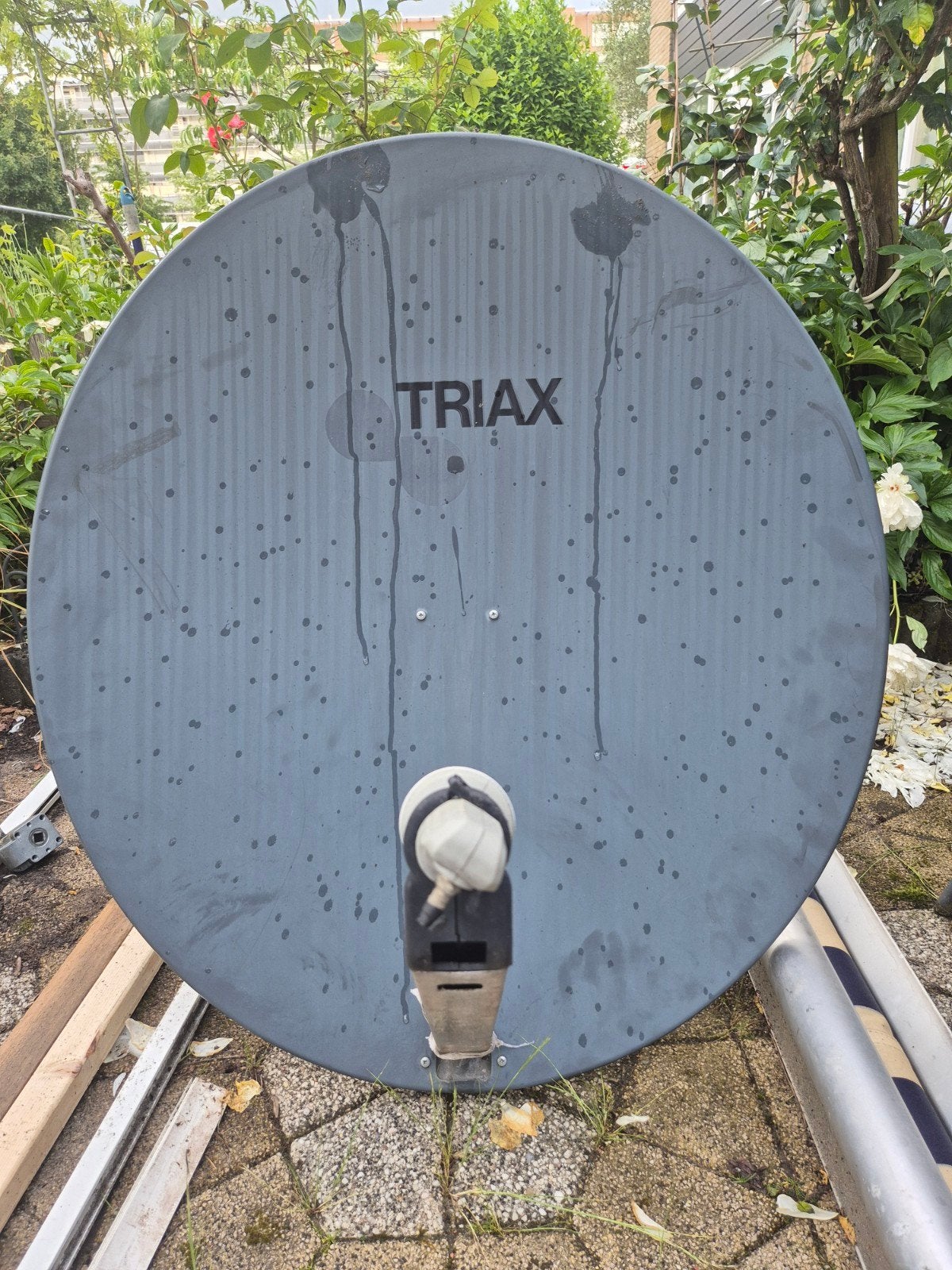Triax schotelantenne - Gebruikt, Ophalen of Verzenden, Gebruikt, (Schotel)antenne, Overige merken