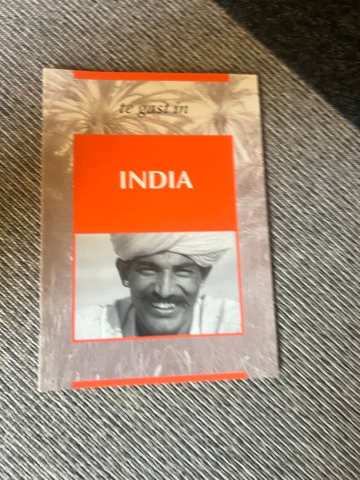 Te Gast in India - Reisgids, Ophalen of Verzenden, Reisgids of -boek, Azië, Gelezen