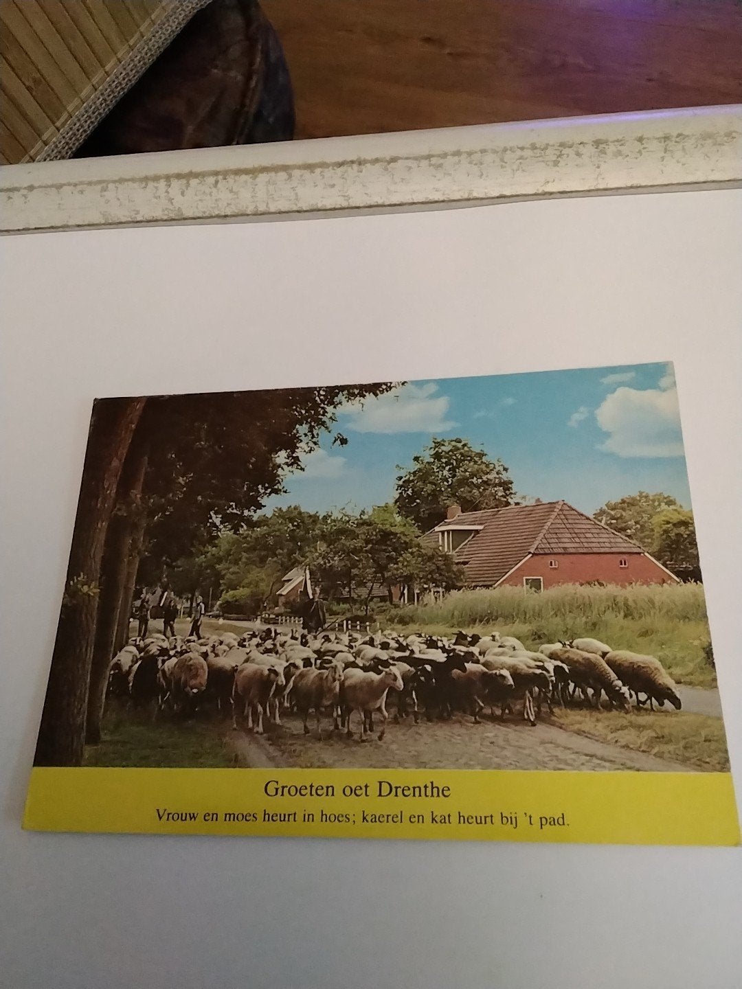 Oude ansichtkaart Drenthe met schapen en boerderij, Ophalen of Verzenden