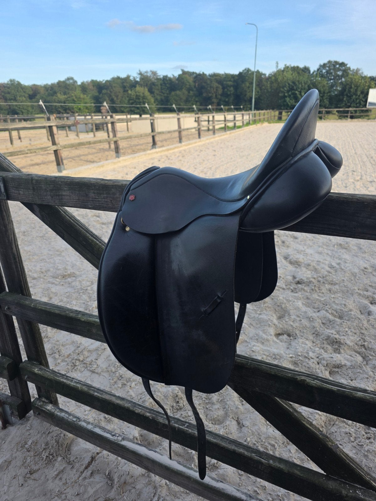 Albion SLK, Dieren en Toebehoren, L (17.5 inch), Gebruikt, Dressuur, Overige merken