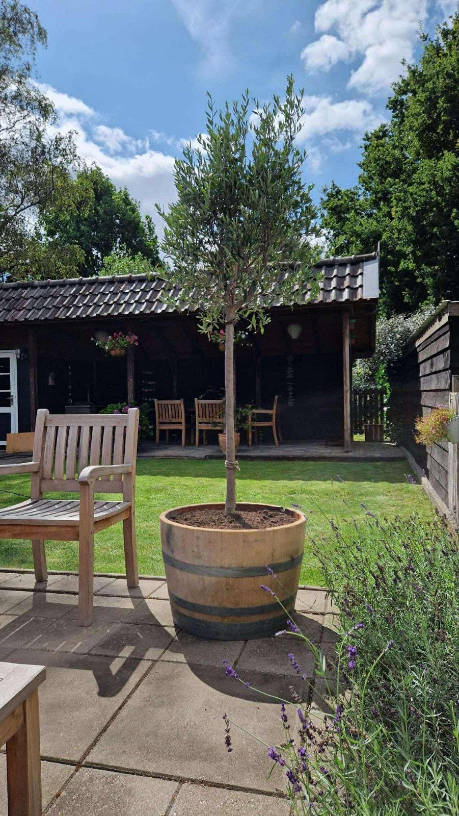 Prachtige eikenhouten bloembakken van gebruikte wijnvaten, Tuin en Terras, Bloembakken en Plantenbakken, Ophalen, Gebruikt, Rond