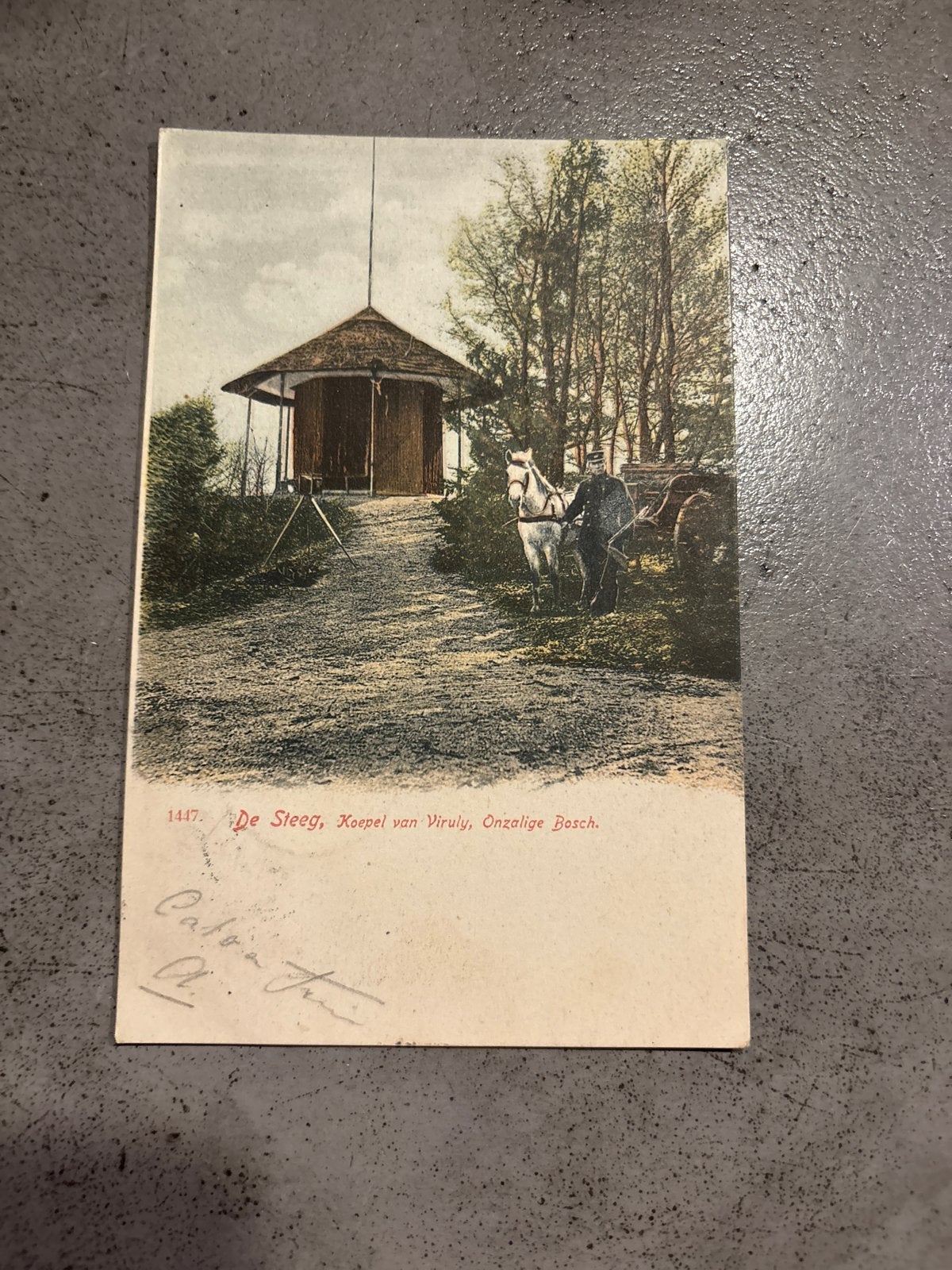 Oude briefkaart 'De Steeg, Koepel van Viruly, Onzalige Bosch, Verzamelen, Ophalen of Verzenden, Voor 1920, Gelopen, Gelderland