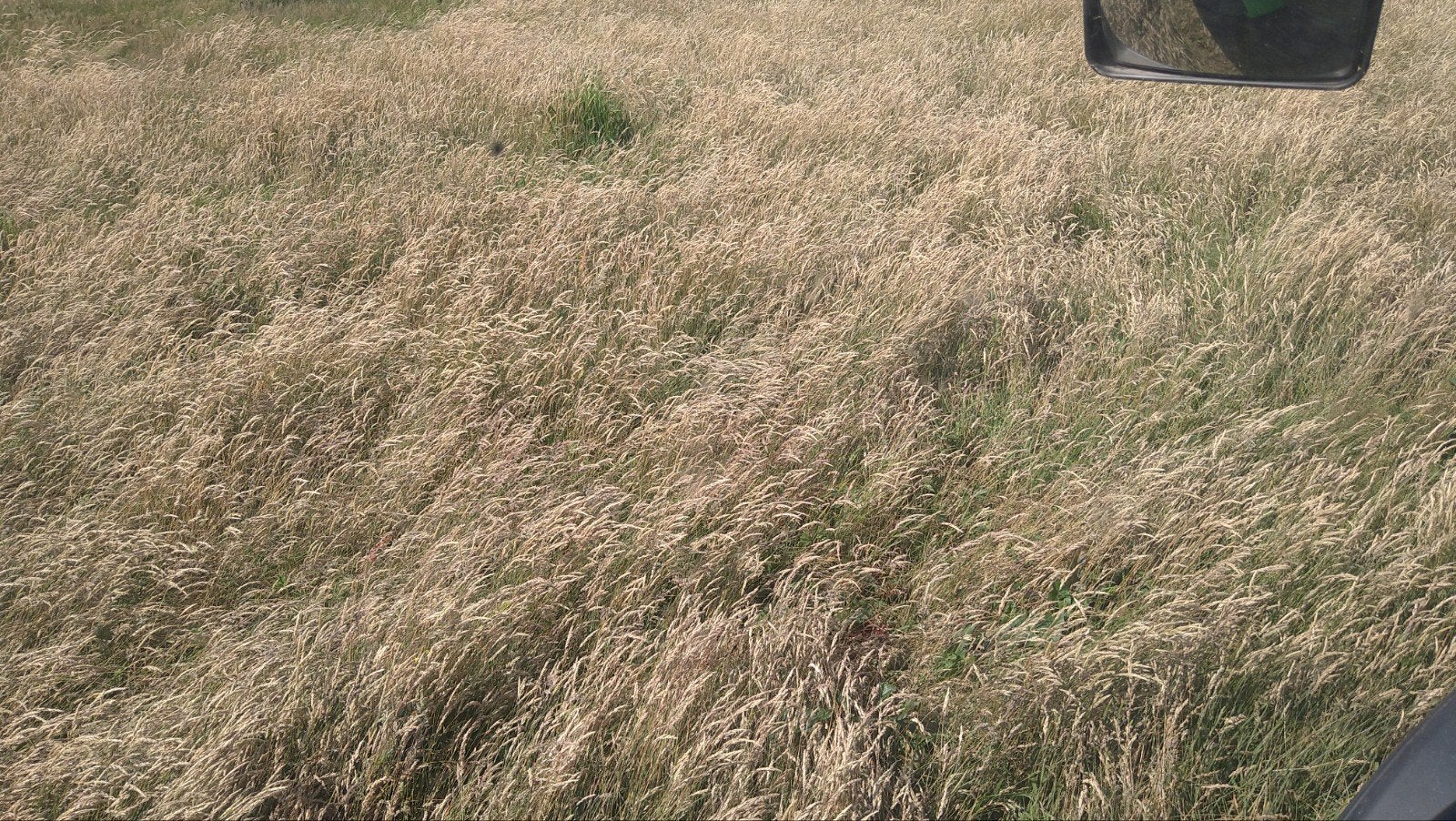 Balen hooi / strooisel, Ophalen, Vee