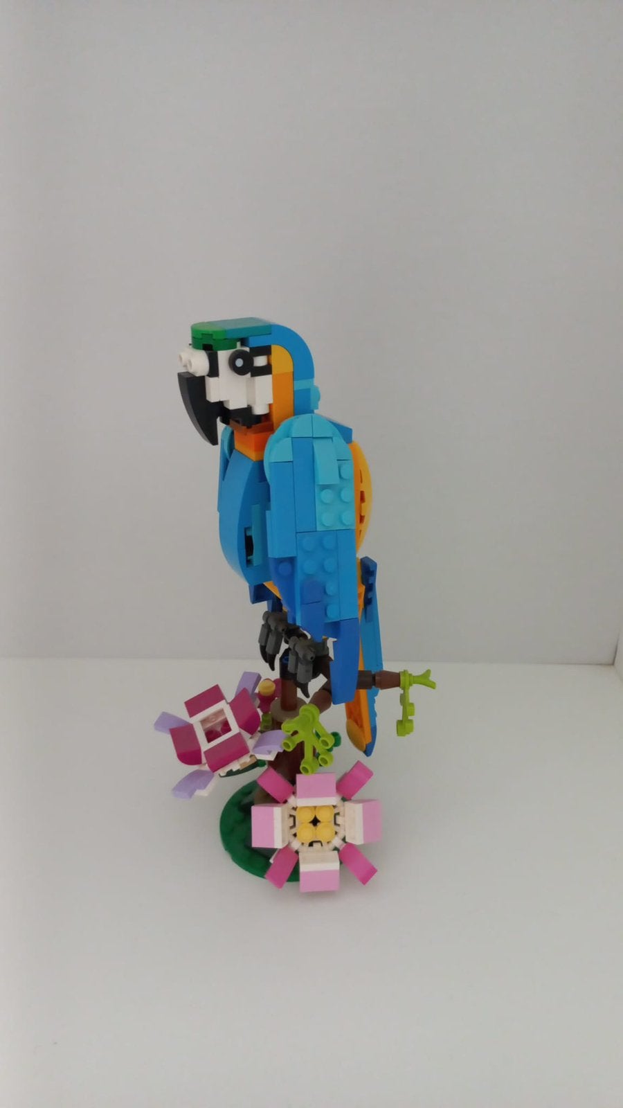 Papegaai lego nr 31136 met boekjes, Ophalen