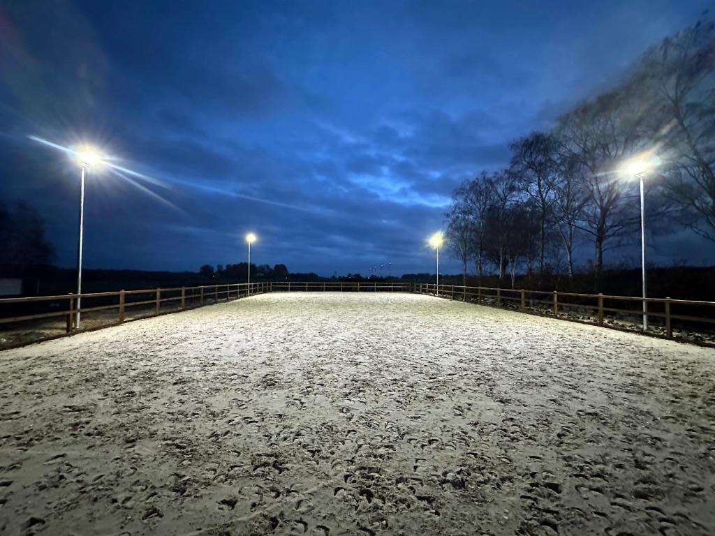 Paardenbak verlichting | Ook voor stal, erf & longeercirkel, Overige typen, Nieuw, Ophalen of Verzenden, Netvoeding