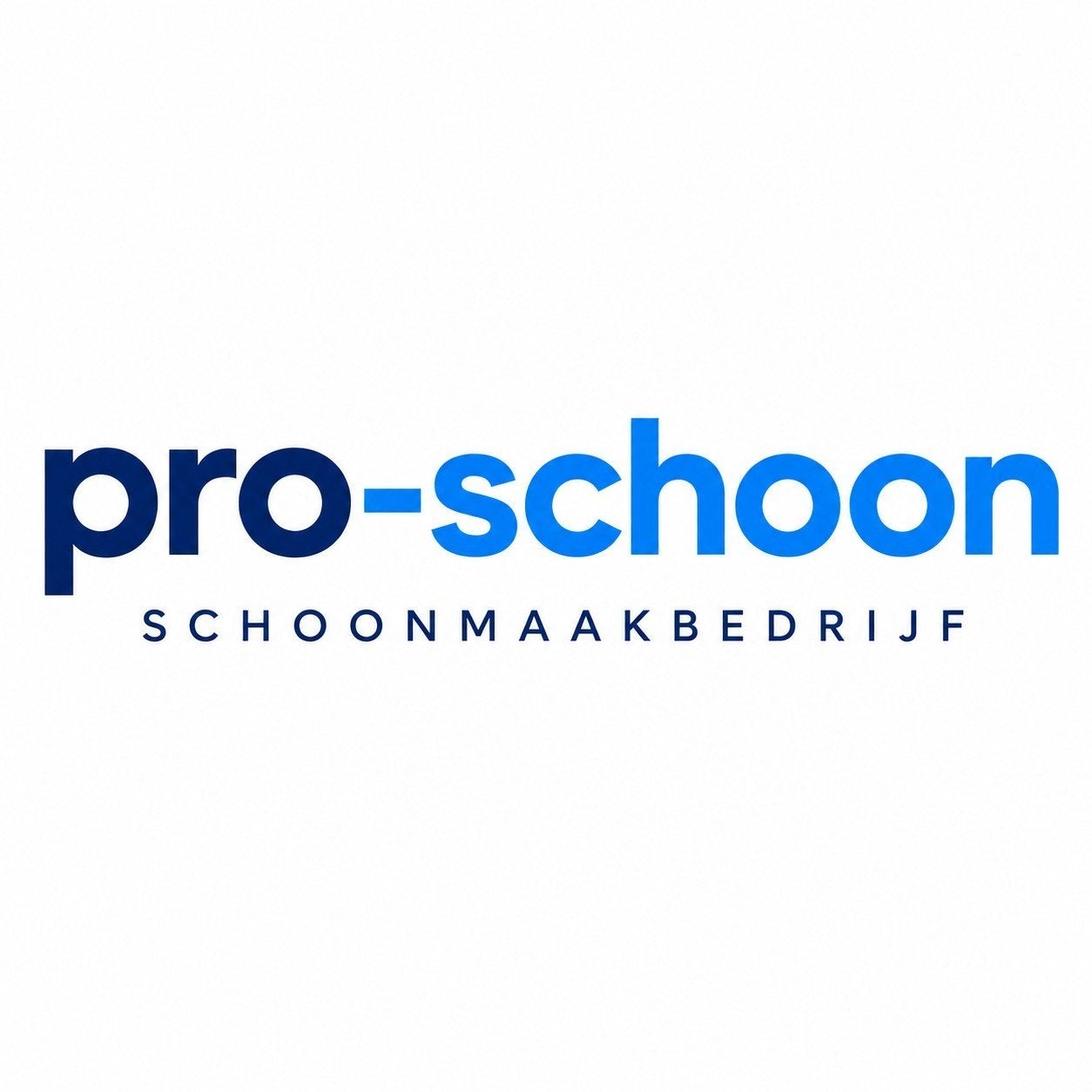 Professionele schoonmaak