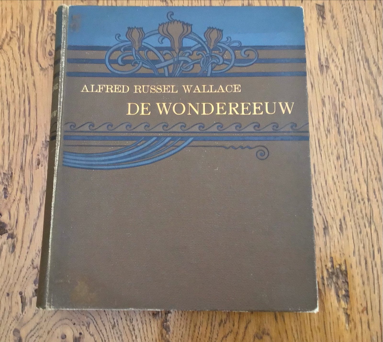 De Wondereeuw - Alfred Russel Wallace (1904), Ophalen of Verzenden, Gelezen, Overige onderwerpen