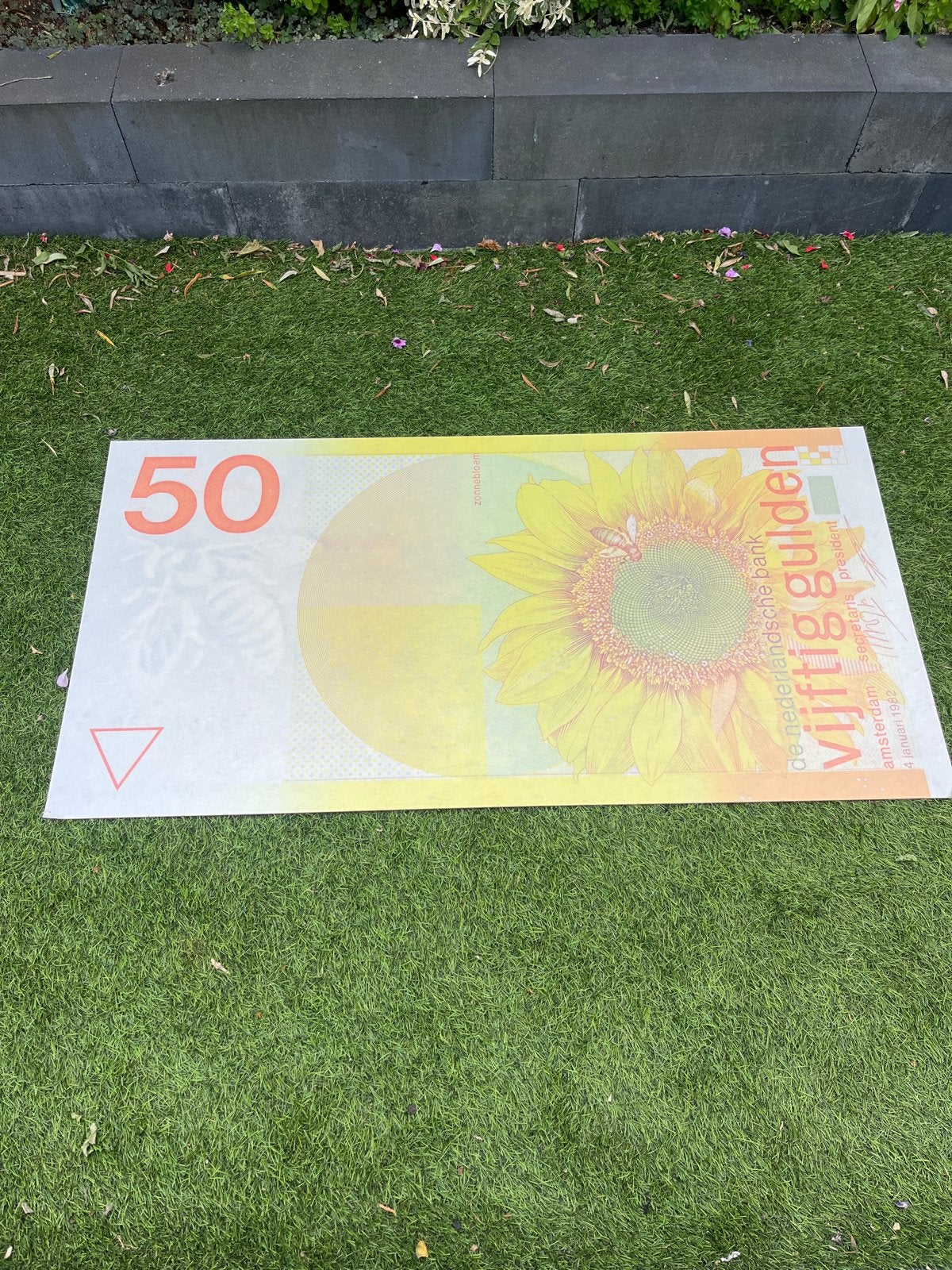 Grote 50 Gulden Zonnebloem Decoratie (120x60 cm), Ophalen, Gebruikt