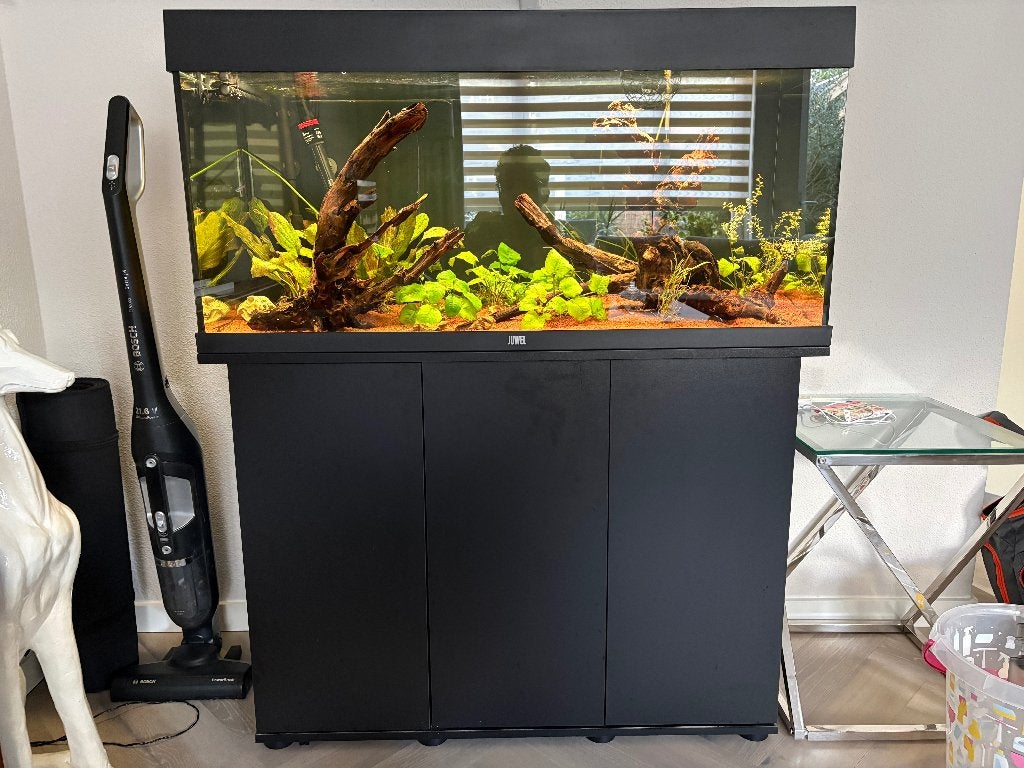 Gevuld compleet Juwel Rio 180 aquarium, Dieren en Toebehoren, Ophalen, Inclusief vissen, Juwel, Gevuld zoetwateraquarium