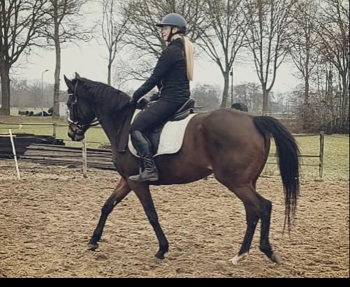 Prachtige, lieve merrie zoekt gouden huis️, Dieren en Toebehoren, Merrie, Recreatiepaard, Ontwormd