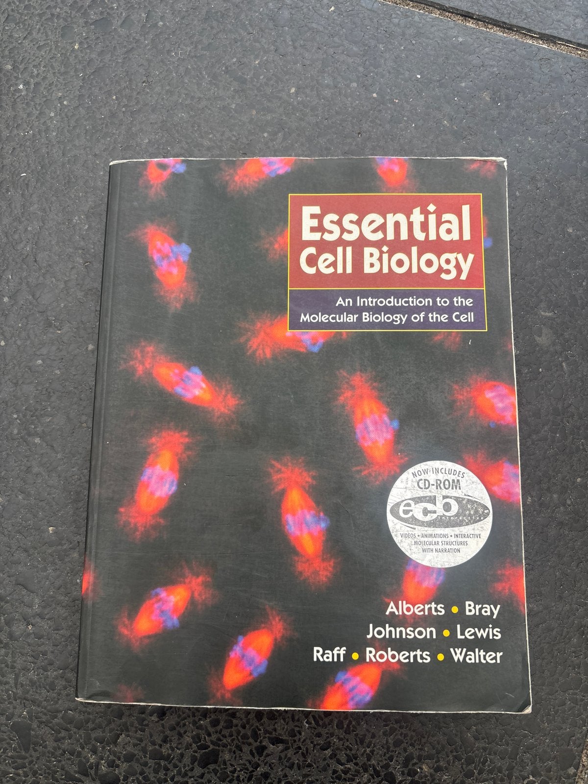 Essential Cell Biology - Alberts, Bray, Johnson, Lewis, Raff, Boeken, Ophalen of Verzenden, Beta, Zo goed als nieuw, WO