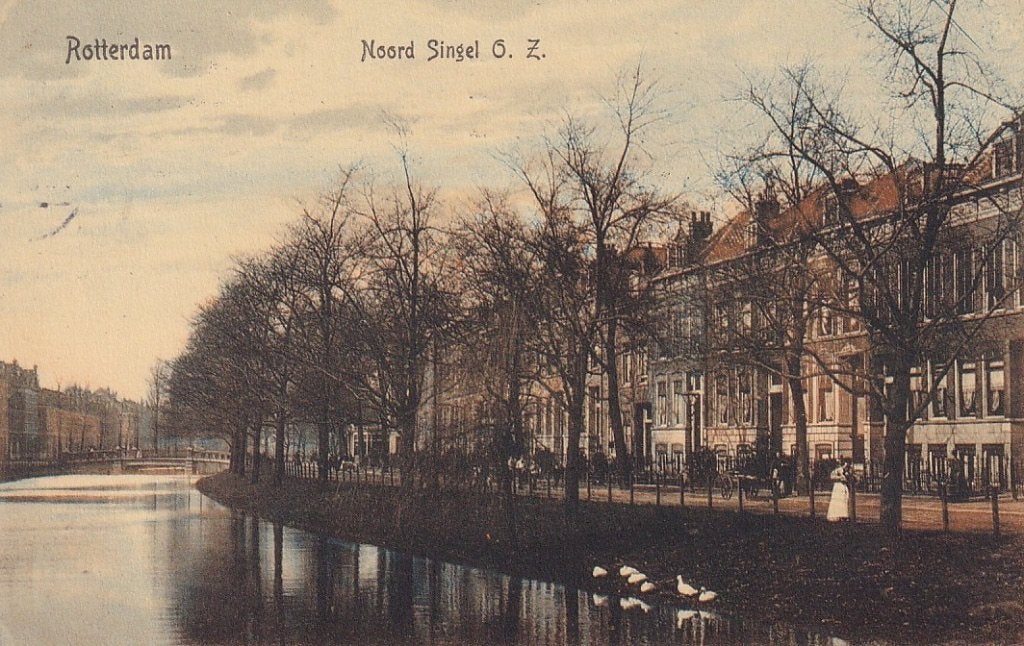 729P Rotterdam Noordsingel Oz., Tulp-kaart, 1911, Ophalen of Verzenden, Voor 1920, Gelopen, Zuid-Holland