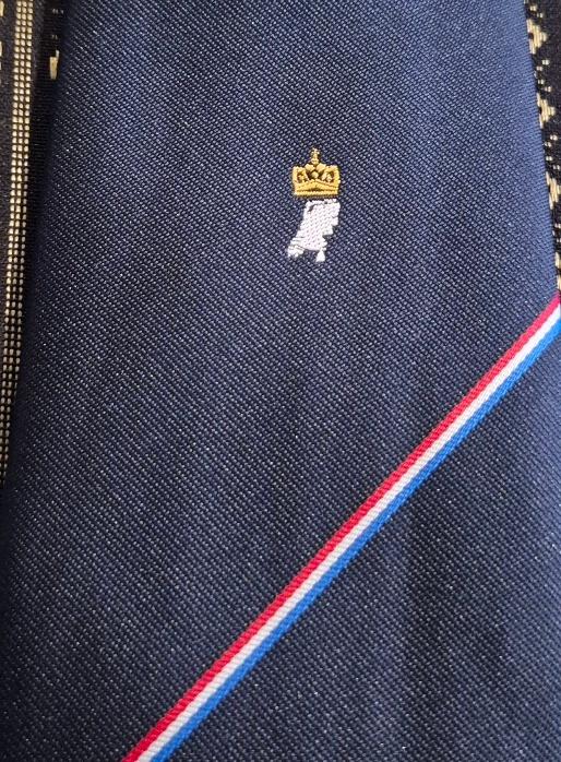 Tweede Kamer der Staten Generaal stropdas R-W-B streep, Kleding | Heren, Stropdassen, Ophalen of Verzenden, Nieuw, Blauw