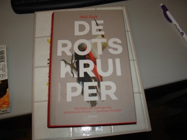 nell zink - de rotskruiper, Ophalen of Verzenden, Zo goed als nieuw, Europa overig