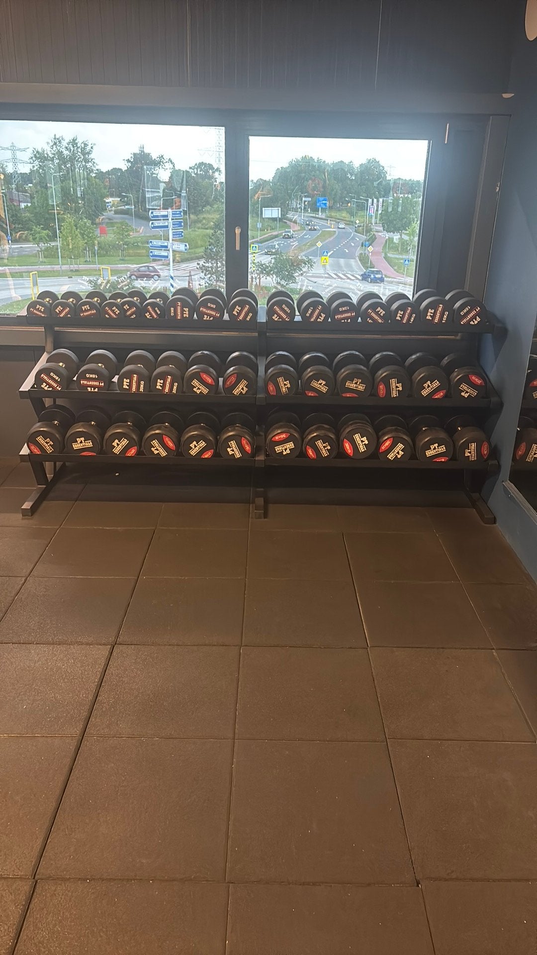 Dumbells pt essentials 2 tm 40 in stappen van 2 kg, Ophalen, Dumbbell