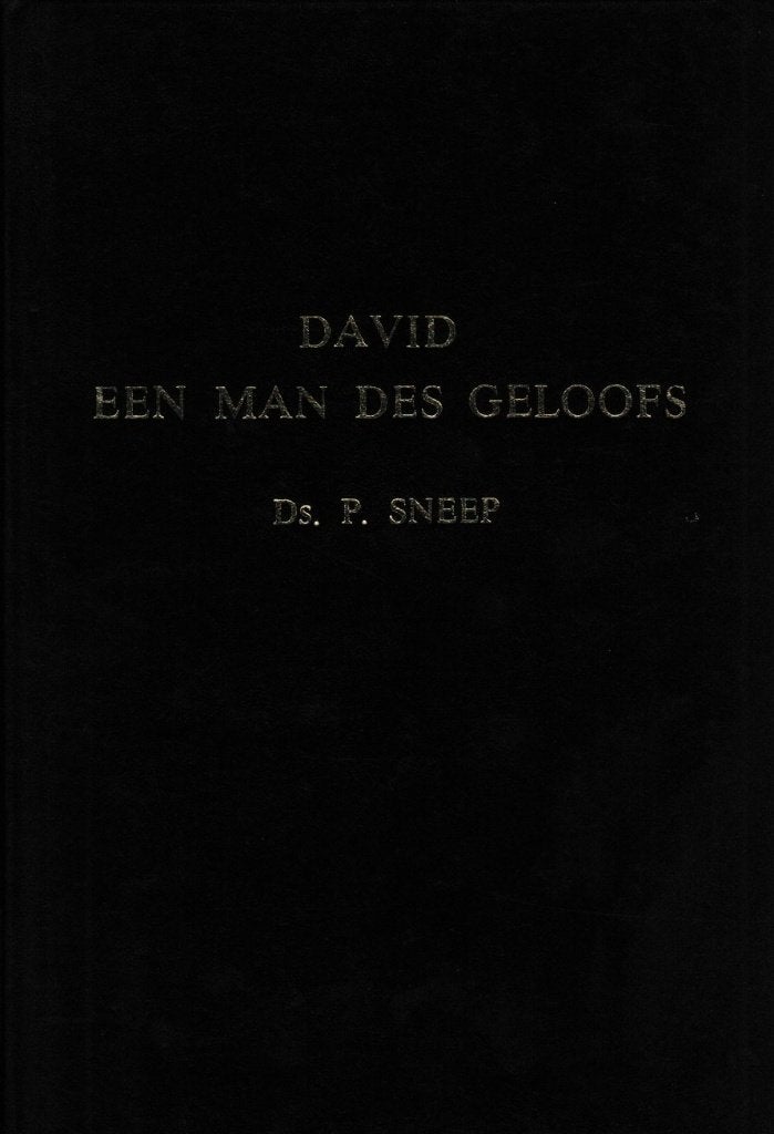 Ds.P.SNEEP - DAVID EEN MAN DES GELOOFS, Boeken, Ophalen of Verzenden, Gelezen