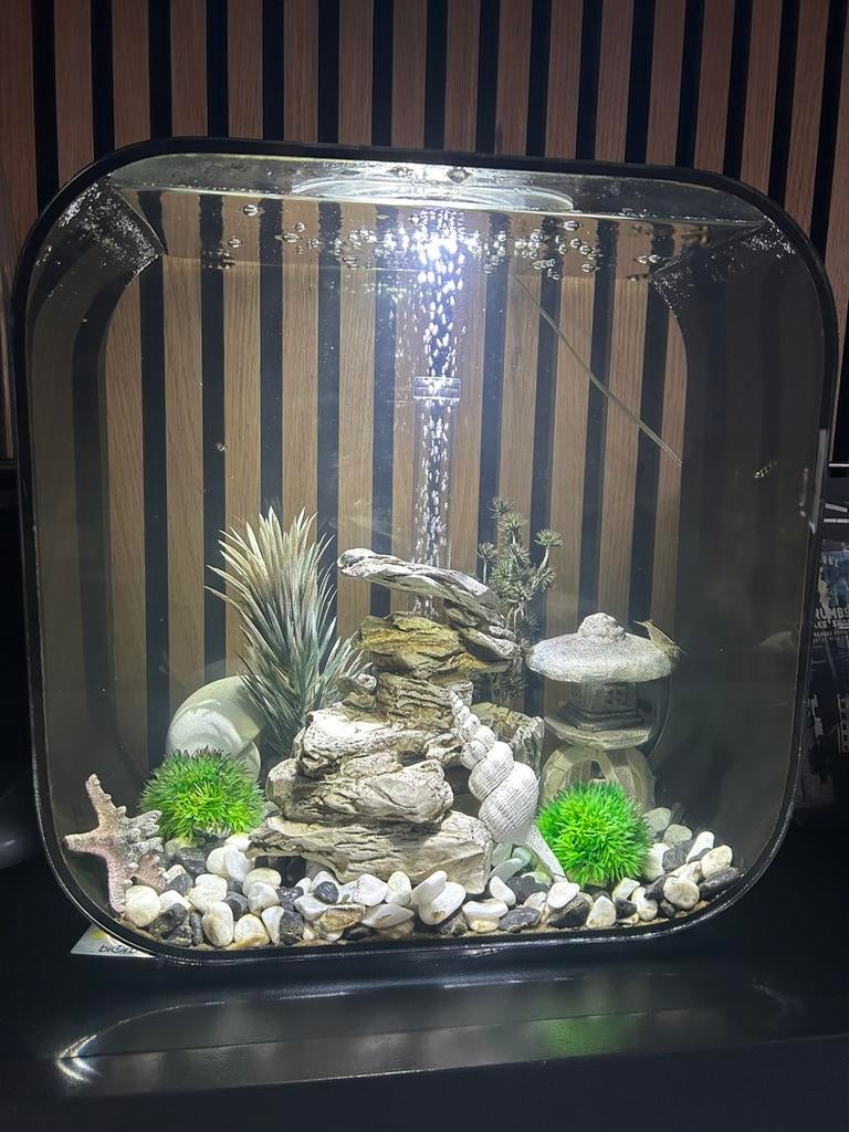 Biorb aquarium (30liter) met accessoires, Ophalen, Leeg aquarium