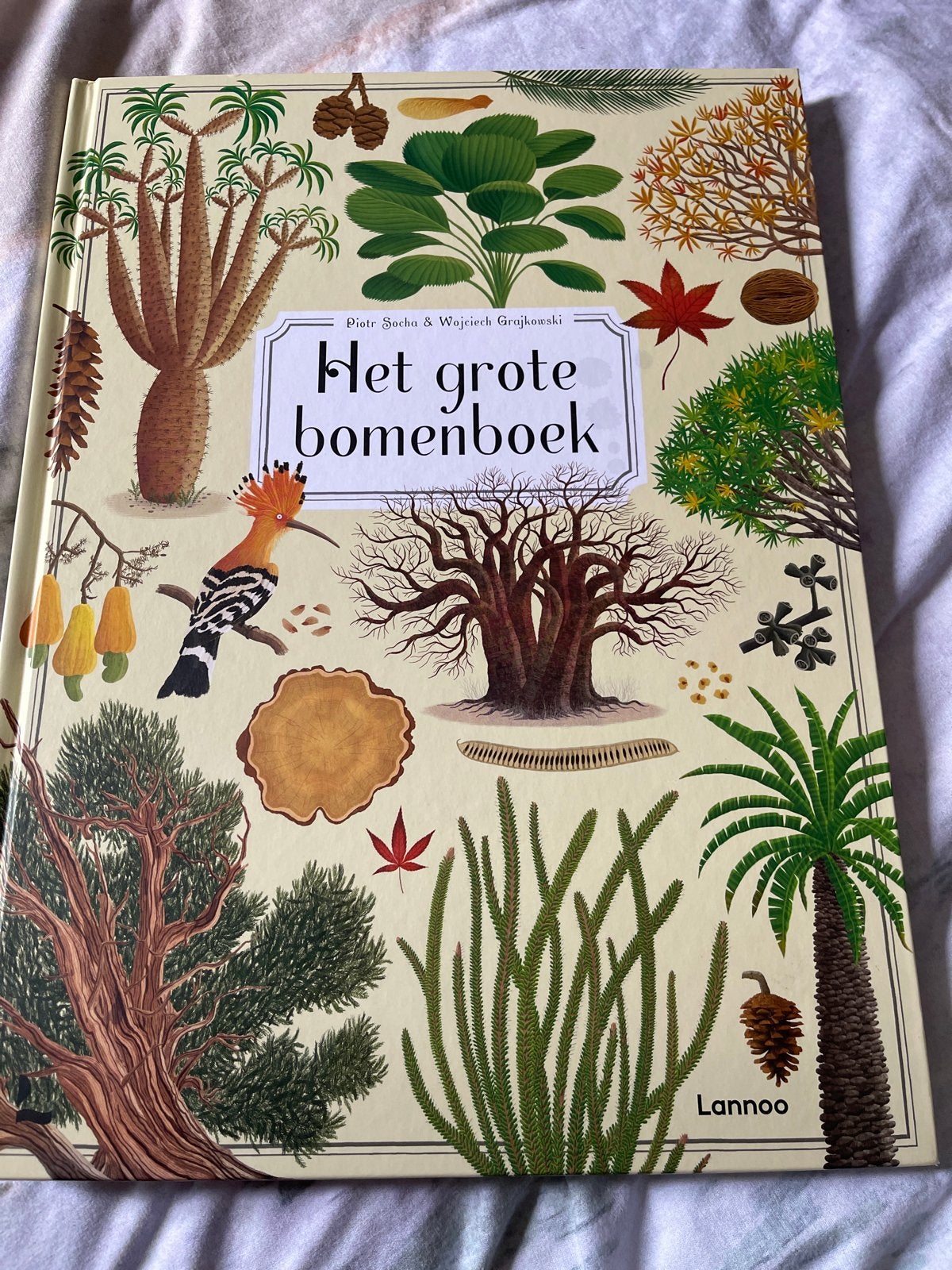 Het Grote Bomenboek - Prachtig Geïllustreerd, Ophalen of Verzenden, Nieuw, Bloemen, Planten en Bomen
