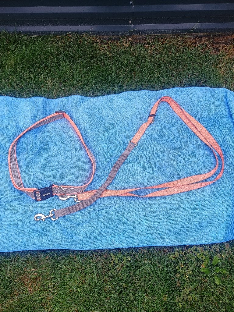 Te koop zeer mooie jogging looplijn hond, Dieren en Toebehoren, Overige merken, Ophalen of Verzenden, Zo goed als nieuw, Hondenriem