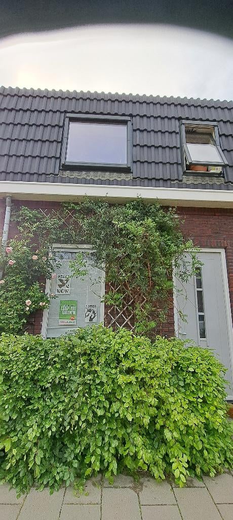 Vierdaagse slaapplaats, Gelderland, 3 kamers, Hoekwoning, Nijmegen