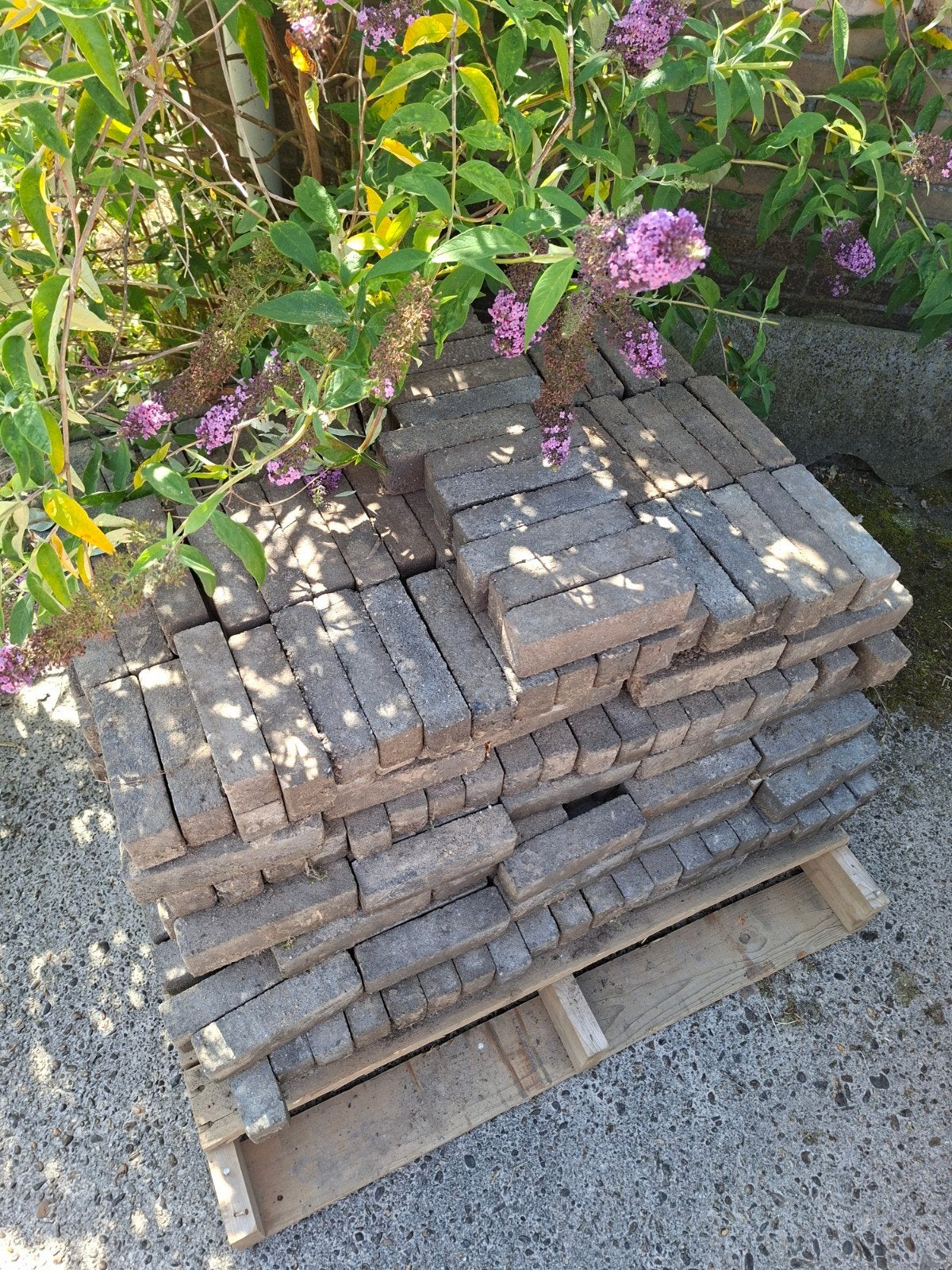 Gebruikte betontegels voor tuin of terras, Ophalen, Gebruikt, Overige materialen, 5 tot 10 m²
