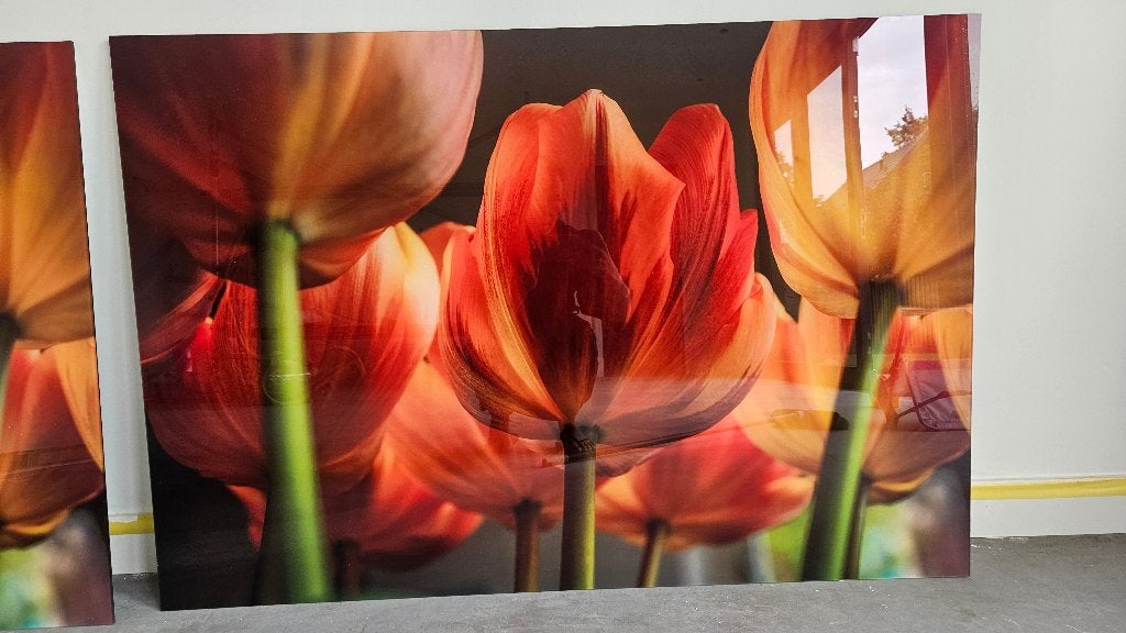 2x Schilderij Tulpen, Ophalen