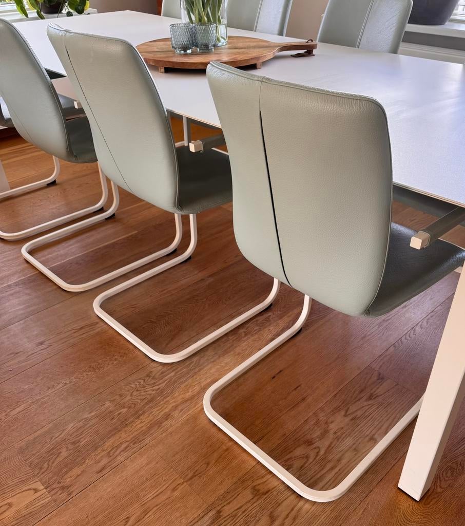 Lederen eetkamer stoelen van Bert Plantagie, Ophalen, Overige kleuren, Leer, Zo goed als nieuw