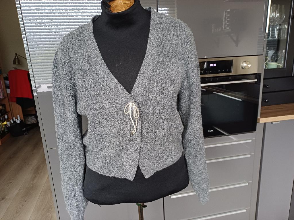 grijs vest H&M mt M, Maat 38/40 (M), H&M, Ophalen of Verzenden, Grijs