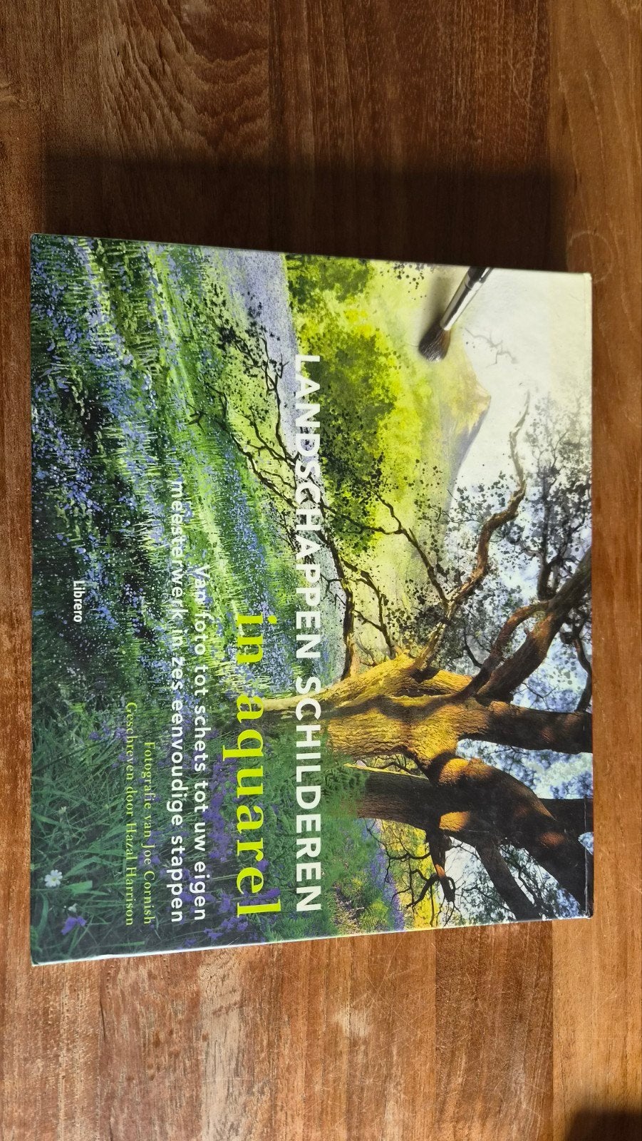 Diverse Schilder Leerboeken - Alles in 1 Koop, Boeken, Ophalen of Verzenden, Gelezen, Overige onderwerpen, Diverse auteurs