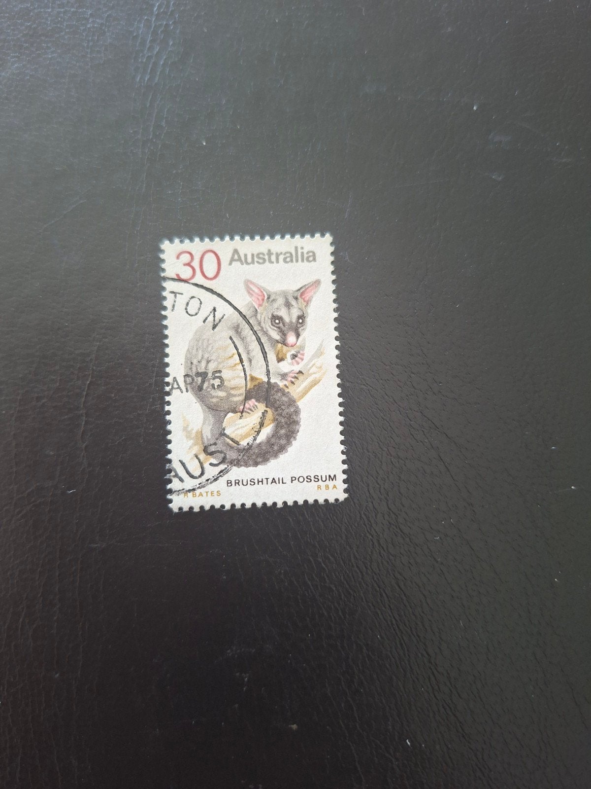 Australië.  Possum, Ophalen of Verzenden