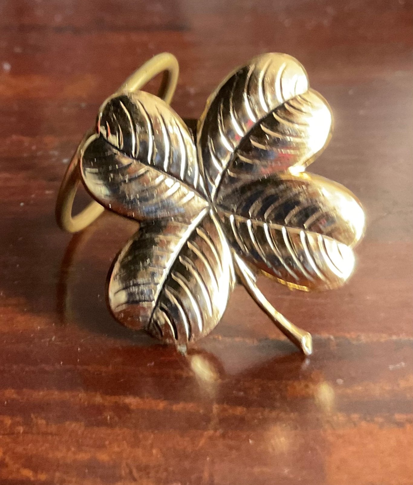 Broche om sjaal, Ophalen of Verzenden, Zo goed als nieuw, Overige materialen