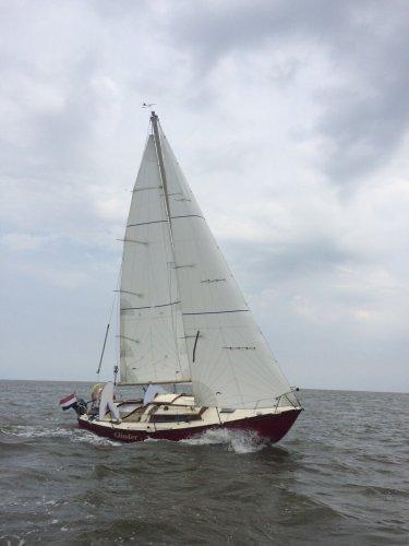 zeilen, Ophalen, Gebruikt, 6 meter of meer, 15 tot 30 m²