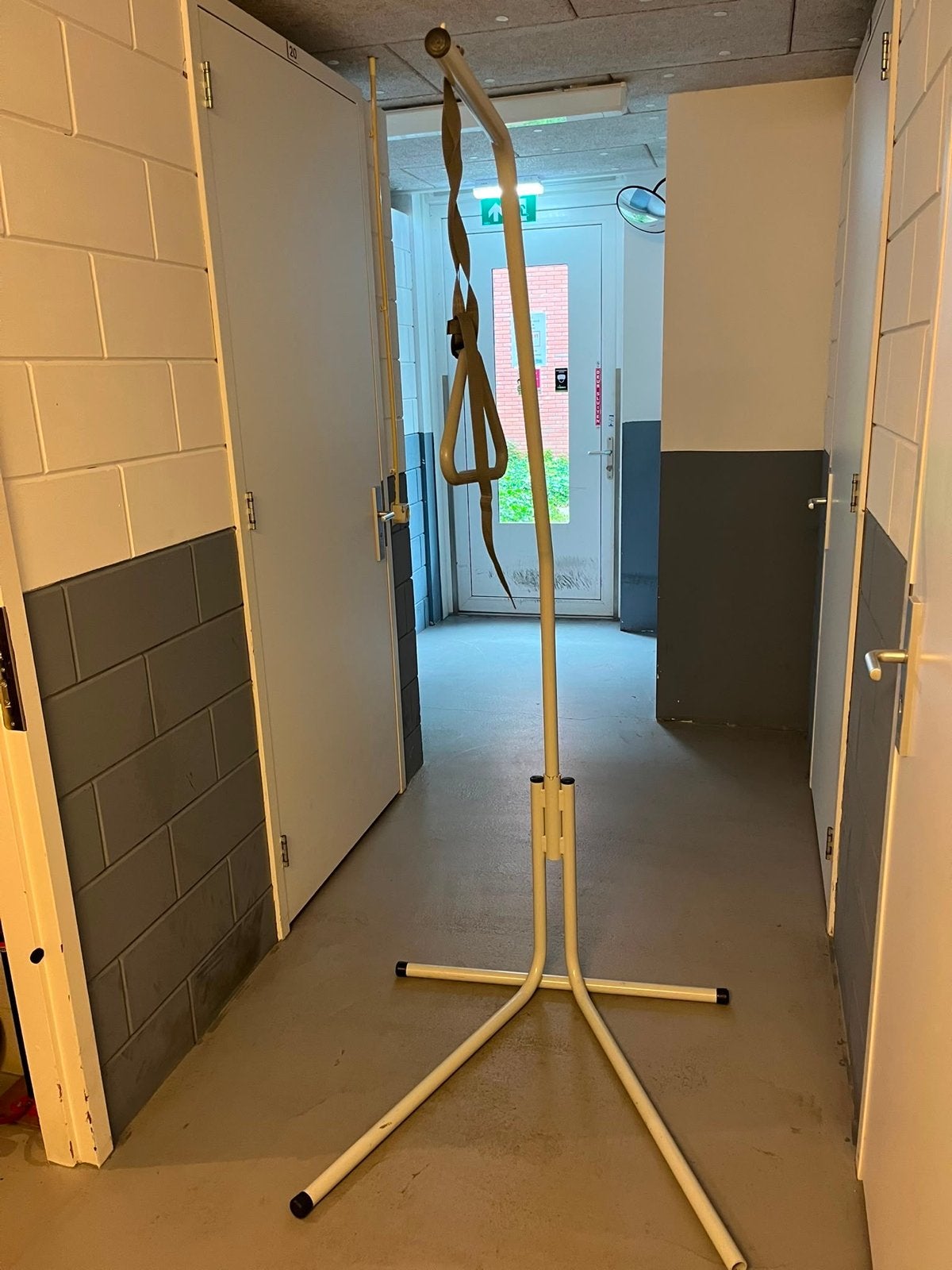 Bedpapegaai, Ophalen, Gebruikt